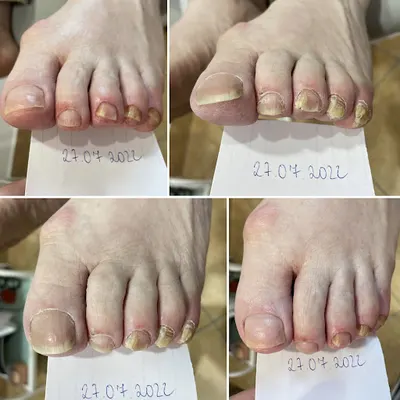 Podolog Zuzanna Laubach